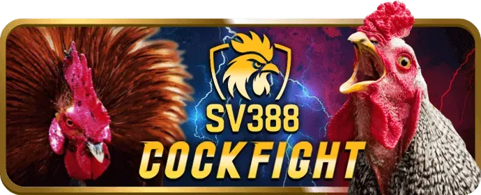 Hướng dẫn đăng ký và đăng nhập bj39 code